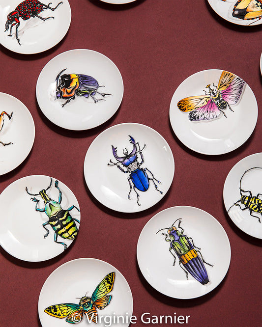 ART DE LA TABLE - MES SCARABÉES