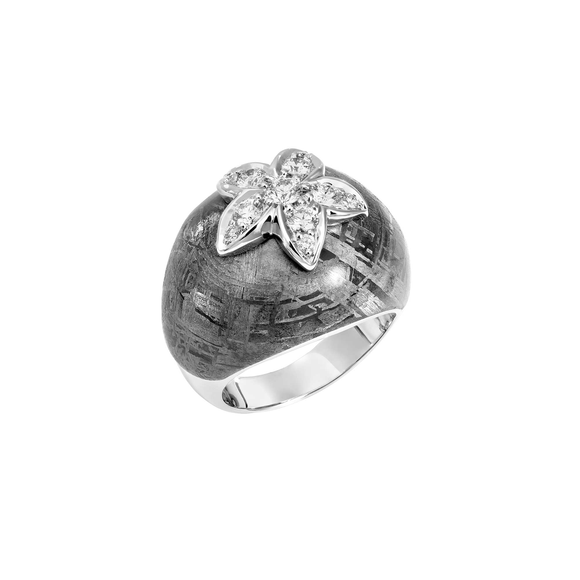 Bague homme meteorite best sale