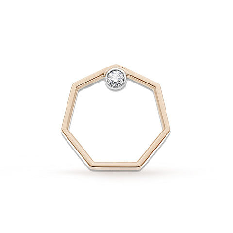 PUCE D'OREILLE 19 HEPTAGONE